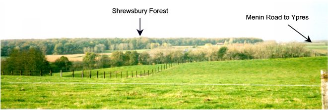 shrewsbury forest.jpg (30429 bytes)