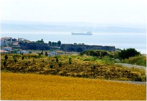 asia minor.JPG (15549 bytes)