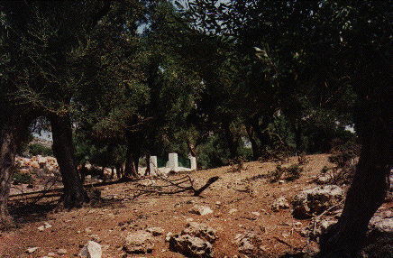 grave distance.gif (63894 bytes)