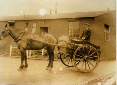 horse and trap large.JPG (26513 bytes)