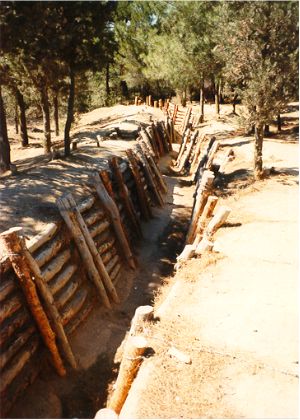 turkish trenches large.JPG (37803 bytes)