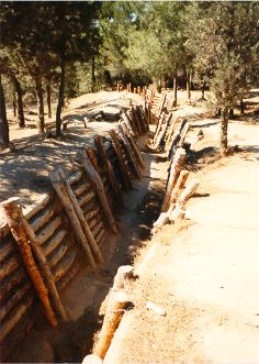 turkish trenches small.JPG (25903 bytes)