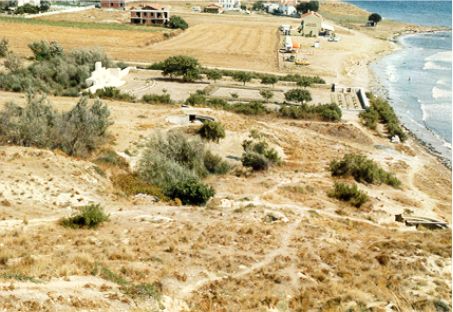v beach large.JPG (43107 bytes)