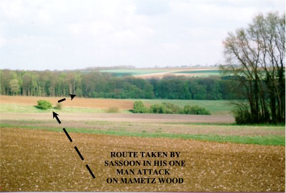 ATTACK ON MAMETZ WOOD large.JPG (40032 bytes)