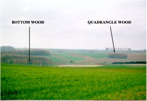 bottom wood pommiers redoubt.JPG (10402 bytes)