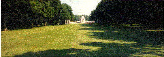 delville wood.gif (45190 bytes)