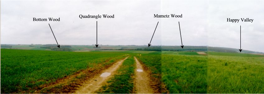 mametz wood from pommiers redoubt large.JPG (48073 bytes)