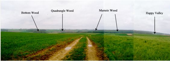 mametz wood from pommiers redoubt.JPG (21904 bytes)